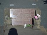 image of grave number 930137